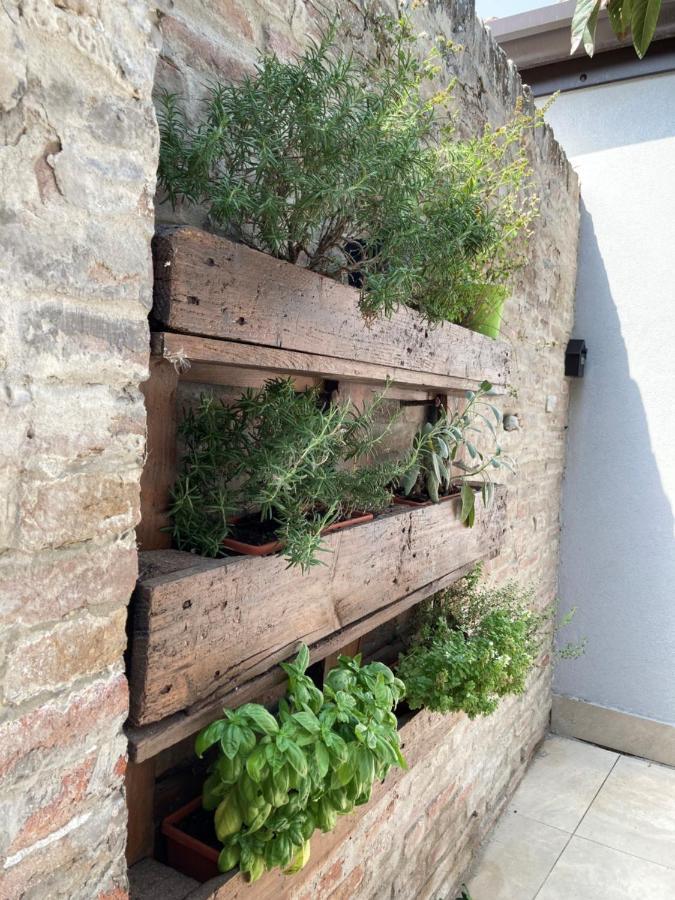 Al Ruderino Hotell Comacchio Eksteriør bilde